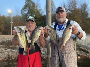 Beginner’s Essentials for Crappie Fishing in Mississippi