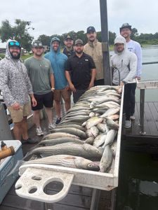 Despite the rain, the action stayed hot with nonstop catches until the bait ran out.