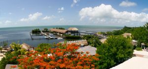Best Things to Do in Marathon, FL for a Classic Keys Getaway