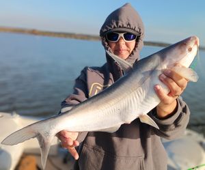 TEXAS FISHING LICENSE