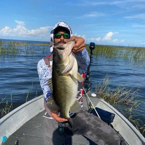 Good Bass Fishing on Lake Okeechobee