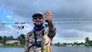 Best Time for Bass Fishing in the Everglades