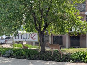 Must-See Attractions and Activities in Ontario Canada