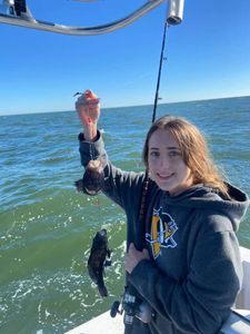 Hooked a Black Sea Bass in Sapelo