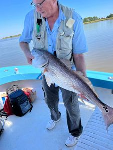 Large Redfish Reeled From Georgia