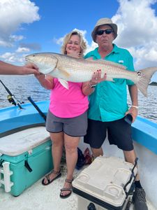 Best Fishing Spots In Savannah GA-Red Drum