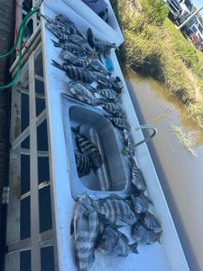 Another Beautiful Day in Darien