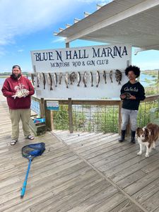 Best Places To Fish On St Simons Island