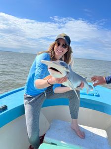 Fishing Near Savannah GA-Bonnethead Shark