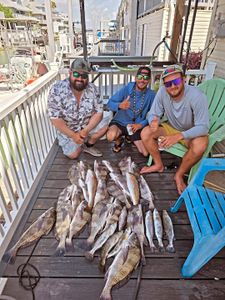 Galveston Fishing Trips Now Open