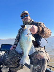 Still Biting With Captain Andy