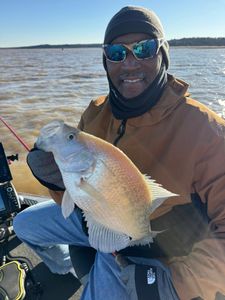 North Carolina Angler Lands Mississippi Slabs
