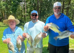 Real-Time Conditions, Recent Catches, and Seasonal Forecast for Massachusetts Anglers