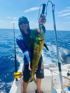Mahi Mahi Fishing In The Florida Keys