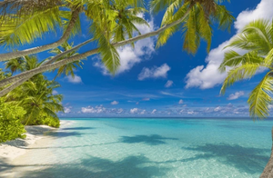 Things To Do In The Bahamas