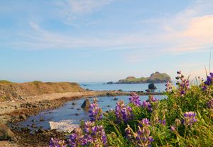 The Ultimate Northern California Coastal Bucket List