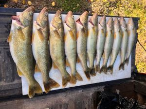 Sault Ste Marie Michigan Fishing Guide Update: Seasonal Transitions and Top Tactics