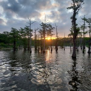 Top Things to Do in Southeast Louisiana