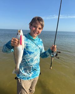 Chasing Speckled Trout Where the Surf Meets the Sand