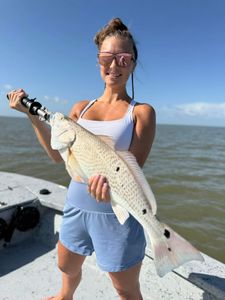 Awesome Morning Chasing Fish on the Texas Coast