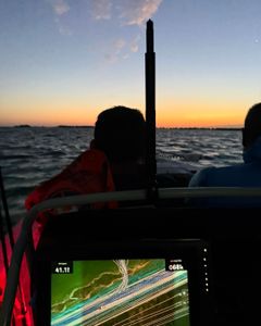 Cool winds and high tides delivering fish