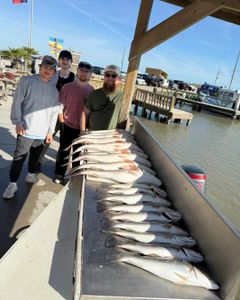 New Year, Tight Lines