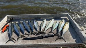 Book direct and keep more value on every trip