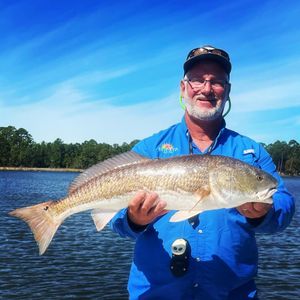 Hooked a Large Redfish in Choctawhatchee bay
