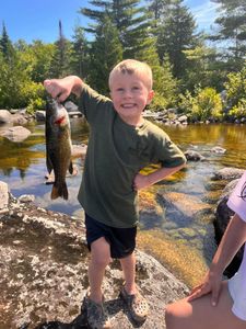 Child-friendly Bass Fishing 