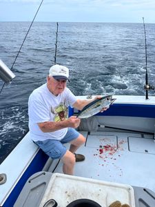 Great Tuna Bite Palm Beach