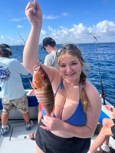 Drift Fishing Singer  Island