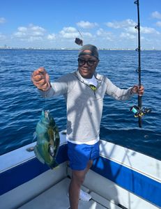 Drift Fishing Singer Island