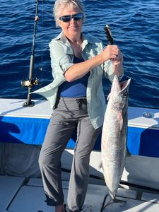 Great Drift Fishing Palm Beach