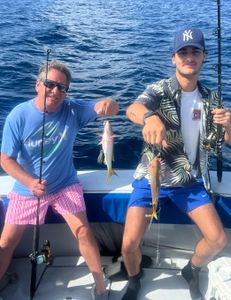 Bonita and Snappers in West Palm Beach