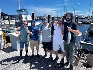 Blackfin Tuna Trolling Palm Beach