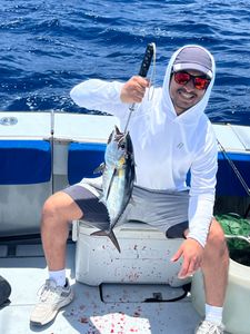 Tuna Drifting Palm Beach