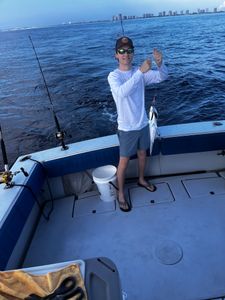 Drift Fishing Palm Beach 