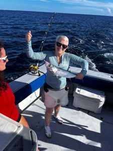 Trolling action Palm Beach Island