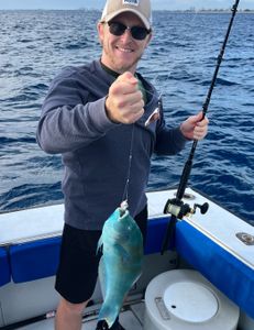 Drift Fishing Singer Island