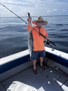 Live Bait Fishing Palm Beach