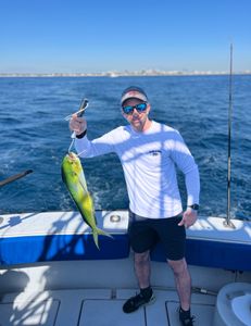 Taming the Offshore: Mahi, Kingfish, and Tunny Triumph