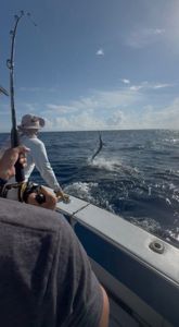 Outstanding Fishing Palm Beach
