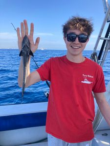 Fish-Species