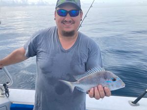 Fish-Species