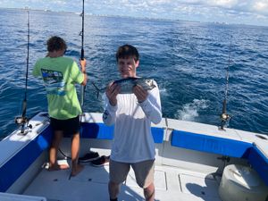 Fish-Species