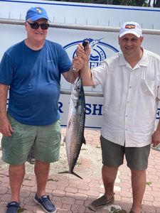 Fish-Species