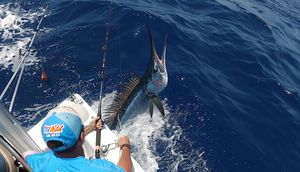 West Palm Beach Deep Sea Fishing Guide