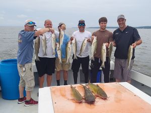 Premier Chesapeake Bay Charter Fishing