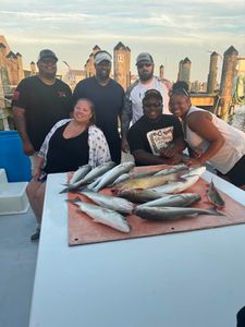 Chesapeake Bay's Finest Fishing Charters, Striper 