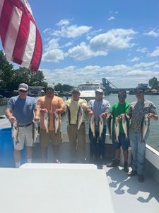 Inshore Fishing in Maryland Paradise, Striped Bass